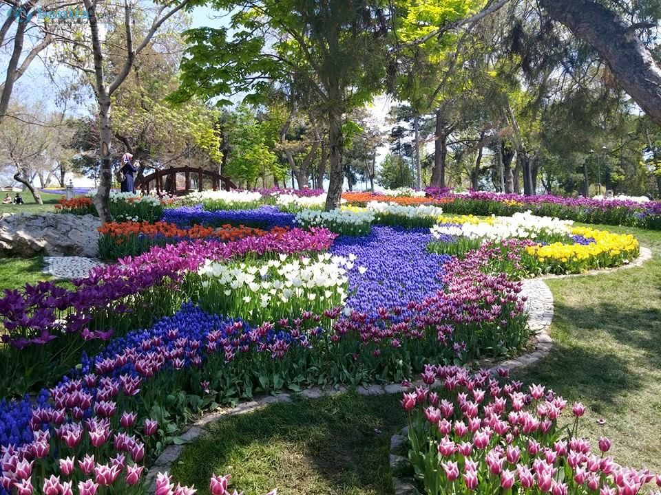 enjoy Ä±stanbul