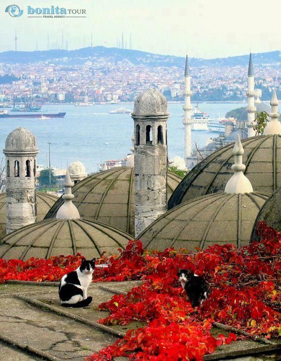 10 MEJORES COSAS QUE HACER EN ESTAMBUL