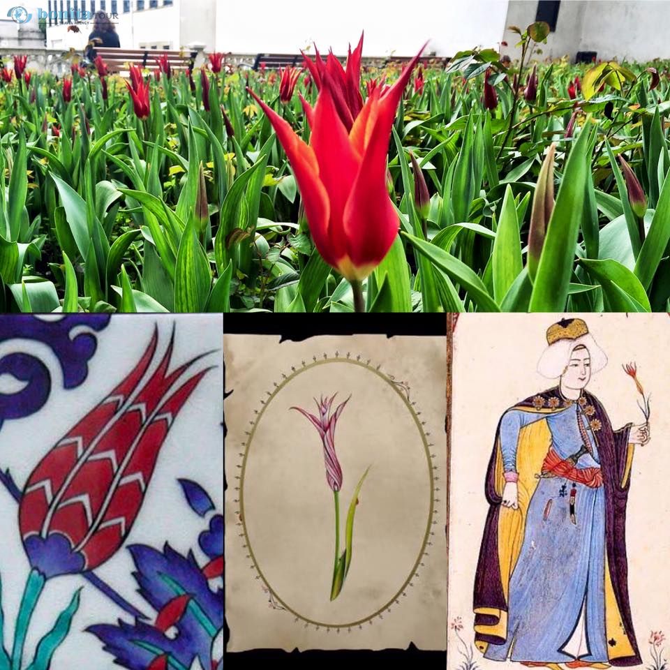 Souvenirs and Gifts to Buy from Turkey