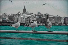 Galata, Galata Tour, Estambul, Estambul Tour, Estambul Viajes, Estambul Travel, Estambul Trip, Estambul Circuitos, Guia en Estambul, Estambul Guia, Visita Estambul