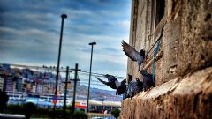 Mezquita, Eminonu, Estambul, Estambul Tour, Estambul Viajes, Estambul Travel, Estambul Trip, Estambul Circuitos, Guia en Estambul, Estambul Guia, Visita Estambul