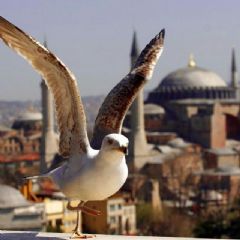 ayasofya, Istanbul, Istanbul Tour, Istanbul Travel, Visit Istanbul, Istanbul Trip, Istanbul Circuits, Guide in Istanbul, Istanbul Guide, Visiting Istanbul, Sites to Visit in Istanbul, Bonita Tour