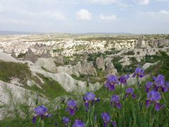 Balloon Flight, Cappadocia Photos, Pictures of Cappadocia, Tour to Cappadocia, Capadocia, Capadocia Tour, Capadocia Visit, Capadocia Travel, Capadocia Trip, Capadocia Circuit, Capadocia Guide, Balloon, Hot Air Balloon, Balloon in Sunrise