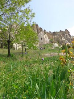 Balloon Flight, Cappadocia Photos, Pictures of Cappadocia, Tour to Cappadocia, Capadocia, Capadocia Tour, Capadocia Visit, Capadocia Travel, Capadocia Trip, Capadocia Circuit, Capadocia Guide, Balloon, Hot Air Balloon, Balloon in Sunrise