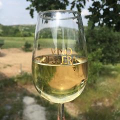 Wine Tasting Tour, Istanbul, Istanbul Tour, Istanbul Travel, Visit Istanbul, Istanbul Trip, Istanbul Circuits, Guide in Istanbul, Istanbul Guide, Visiting Istanbul, Sites to Visit in Istanbul, Bonita Tour