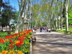 Gulhhane Park, Topkapi Palace Tours, Istanbul, Istanbul Tour, Istanbul Travel, Visit Istanbul, Istanbul Trip, Istanbul Circuits, Guide in Istanbul, Istanbul Guide, Visiting Istanbul, Sites to Visit in Istanbul, Bonita Tour