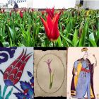 Souvenirs and Gifts to Buy from Turkey